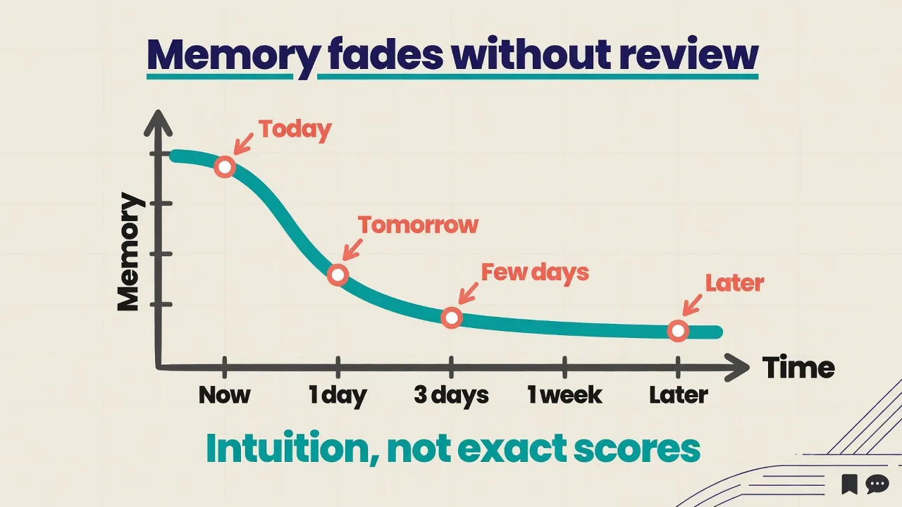 Soft illustrative forgetting curve with review points along time; caption that it is intuition not exact scores